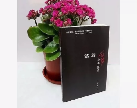 《活着》一部充满血与泪的小说,一个人的挣扎...