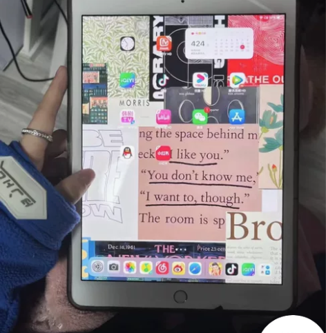 个人一手，考研上岸ipad 2020新款大...