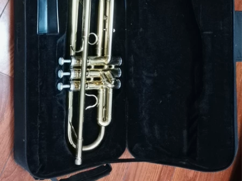 小号，带号嘴，号箱 感兴趣的话点“我想要”...