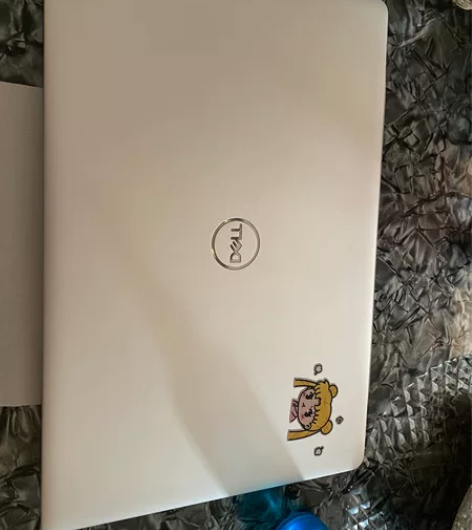 戴尔5498笔记本，成色您看图，开机重启，...