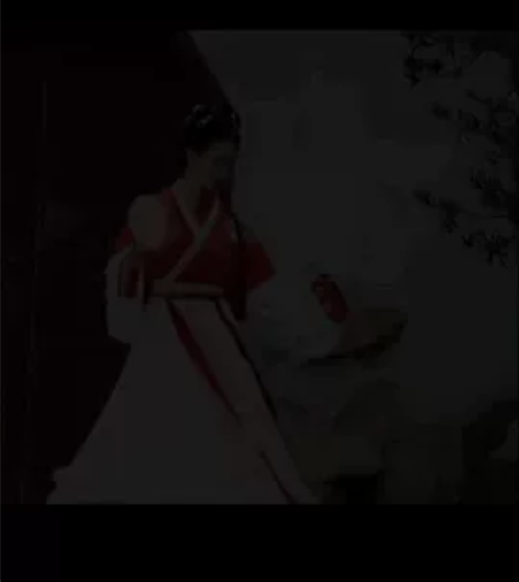 凤于牡丹 墨子研汉服女晋制交领半袖齐腰襦裙...