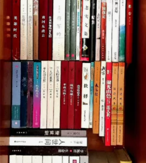 海岩小说毕淑敏小说中外名家散文选集 茅盾文...