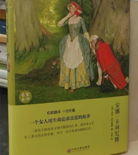 正版二手 安娜·卡列尼娜 中国文联出版社 ...
