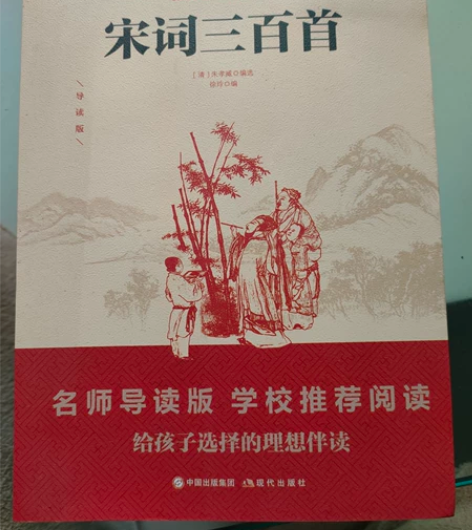 《宋词三百首》拆了塑封99新 无勾画,20...