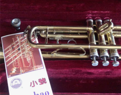 星海牌小号降b调 很多年前购买 不知道该卖...