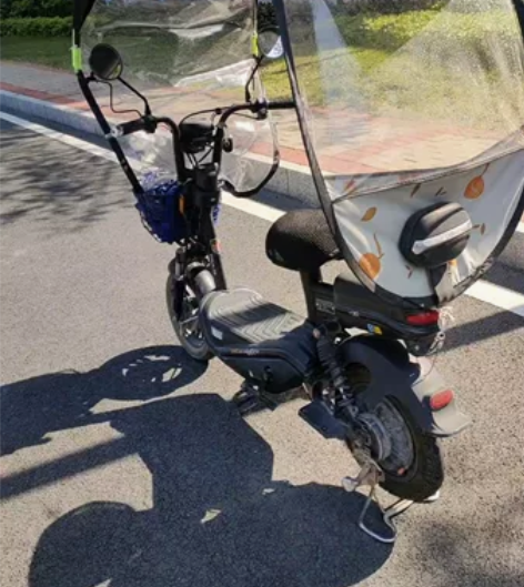 台铃电动车带棚子 4820锂电池续航远 脚...