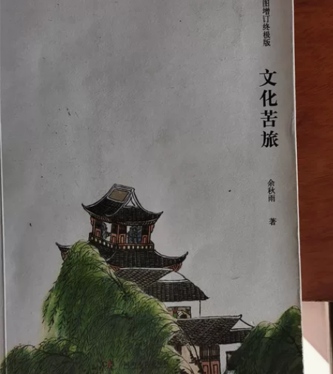 孩子初中要求买的，余秋雨文化苦旅，内部有几...