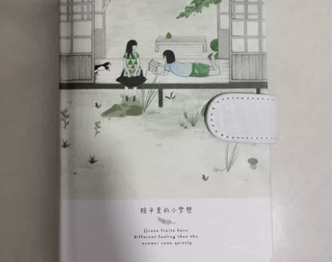 两个很好看的本子，可以做手账本，日记本啦，...