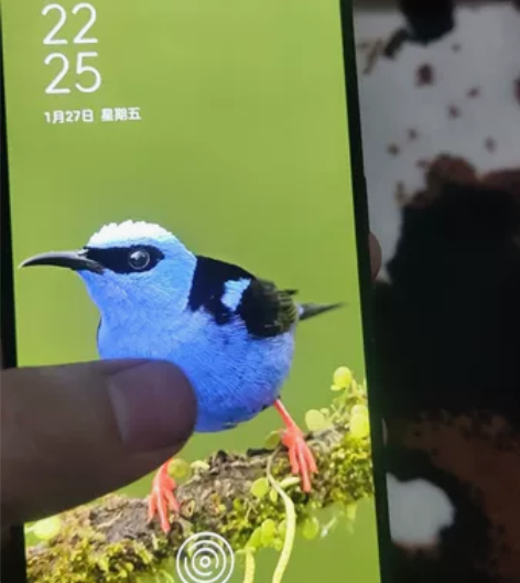 oppo reno ,6+256 自用...