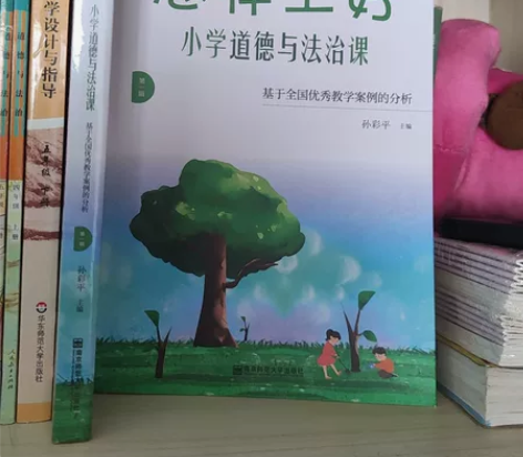 怎样上好小学道德与法治课 一本很有参考价值...