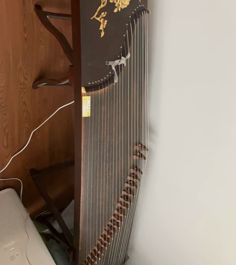 焦桐古筝，基本闲置，送曲谱架 感兴趣的话点...