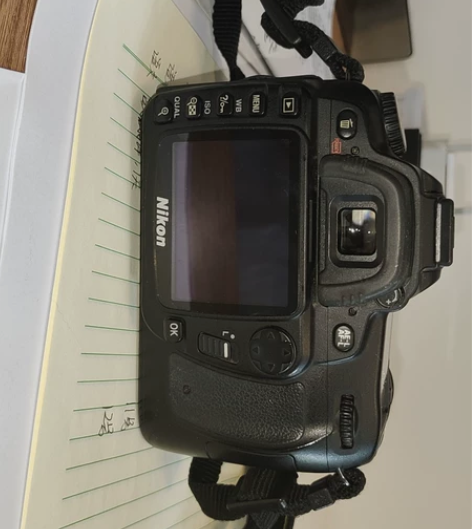 尼康D80，ccd#Nikon/尼康 #春...