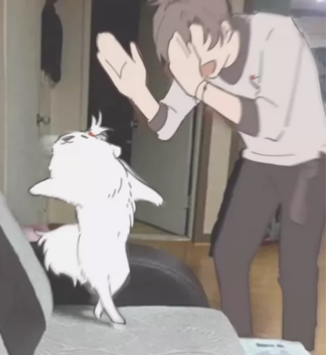 诚收左大头，因为入坑晚所以错过了左大头，真...