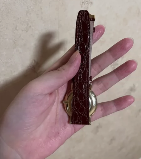 天王手表 正常使用男士手表 家里还有别的手...
