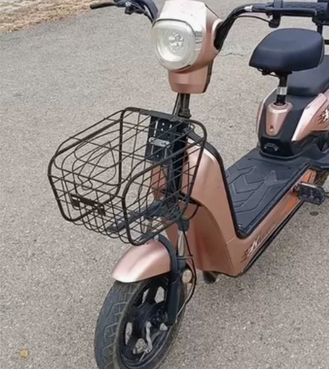 科思康48伏20安电动自行车,20安的大电...