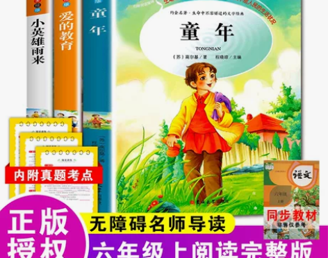 爱的教育小英雄雨来童年书全套3册高尔基正版...