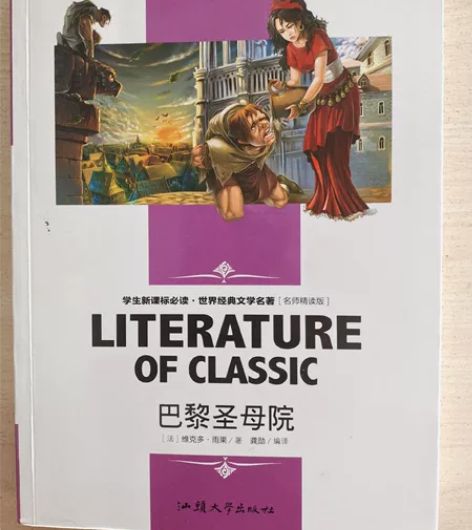 雨果《巴黎圣母院》，没注意买了两本，求有缘...