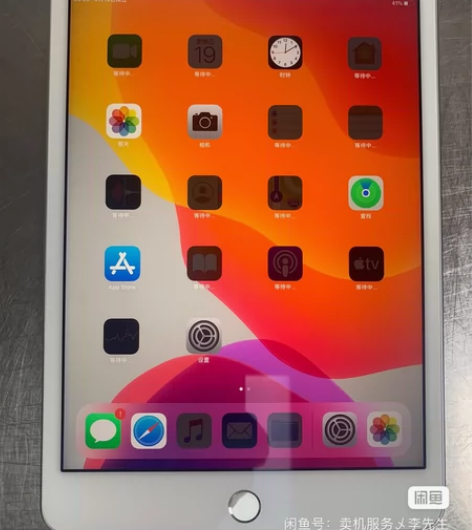 iPadmini4 7.9英寸 Apple...