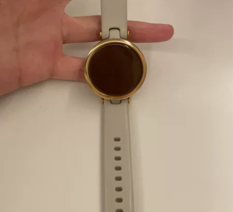 佳明Garmin Lily女士运动手表 孕...