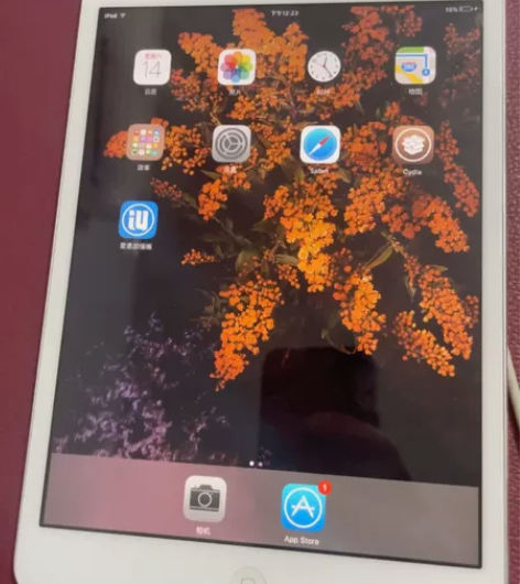 ipad mini 国行16G个人一手，无...