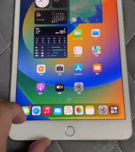 苹果/ iPad ipad mini5...