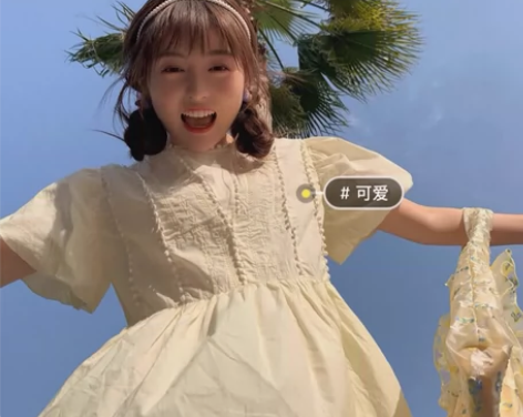 仙气满满的の一天~韩系少女宫廷复古蝴蝶袖绣...