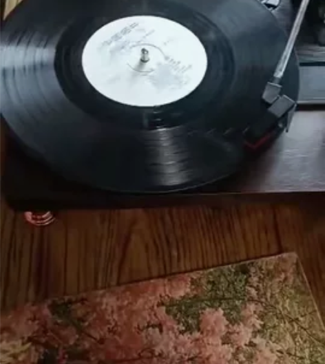 回味黑胶唱片的味道，黑胶唱片机，支持黑胶、...