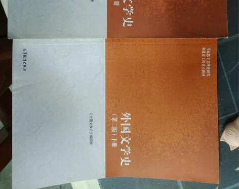 中国语言文学 孟繁华 九成新 中国当代文学...