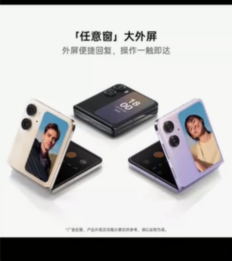 OPPO FindN2 Filp 12+2...