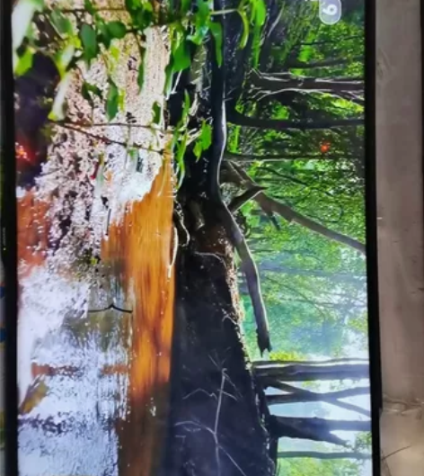 夏普55寸4k智能网络超高清电视机,窄边面...