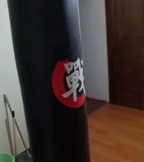 拳击沙袋，拳击沙包，成人款， 脑子一热买了...