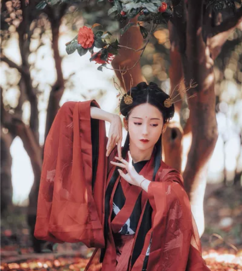 【出】兰若庭 汉服 魏晋风 交领 全套 感...