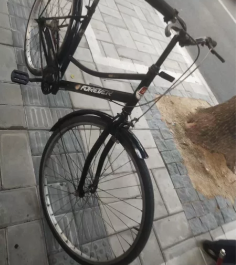 上海二手永久女式自行车 我在浦东南路南码头...