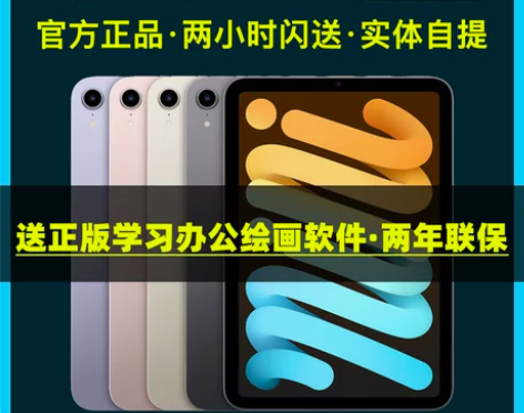 苹果ipad 2021款Apple/ iP...