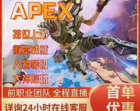 APEX英雄陪玩代练丨包教学身法思路猎杀 ...