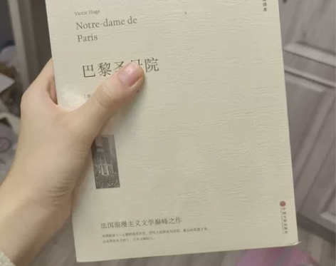 巴黎圣母院（全新塑封） 当当网购入全新￥8...