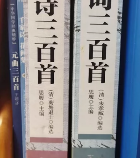 唐诗三百首，宋词三百首。一本40 感兴趣的...