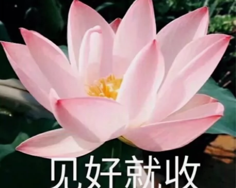 收闲置iPad 感兴趣的话点“我想要”和我...