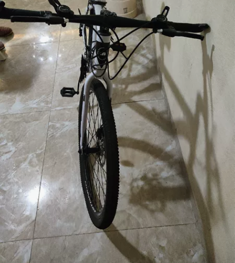 上班没时间骑，一直放在家里，变速不流畅，刹...