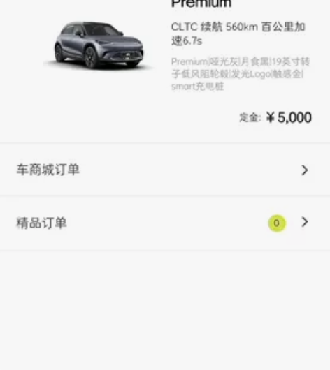 smart精灵1号订单 哑光灰顶配 已交5...