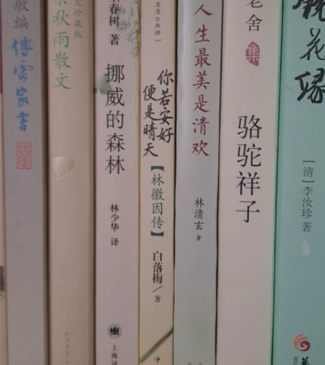 挪威的森林,骆驼祥子,余秋雨散文,林徽因你...