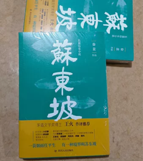 长篇历史小说《苏东坡》徐棻作品，95成新，...