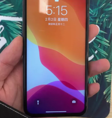 iPhoneX国行版本全网通插卡直接用，内...