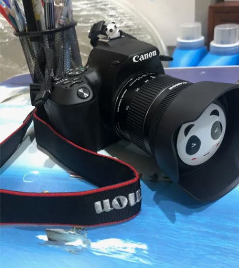 佳能（Canon） EOS 200D二II...