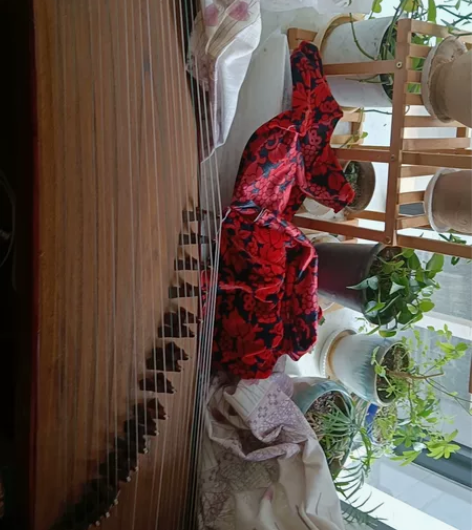 9年前买的二手古筝。现要搬家,便益转手。 ...