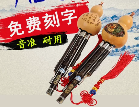 初学者葫芦丝C调 降B调专业紫竹胡芦丝 学...