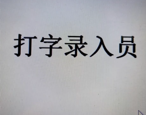 本人帮忙word文字录入，请提供稿子（中文...