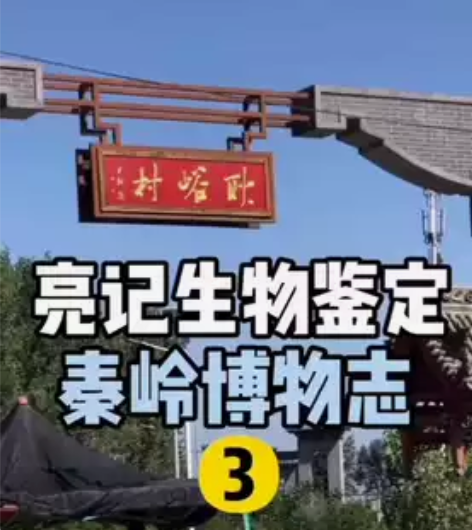 华为mate20pro  UD版的8+12...
