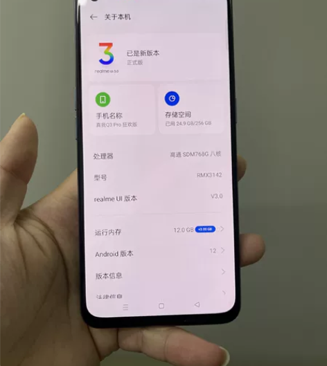 真我Q3 Pro 狂欢版      12+...