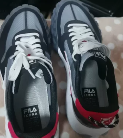 斐乐男鞋 40.5码数,内长250,码数自...